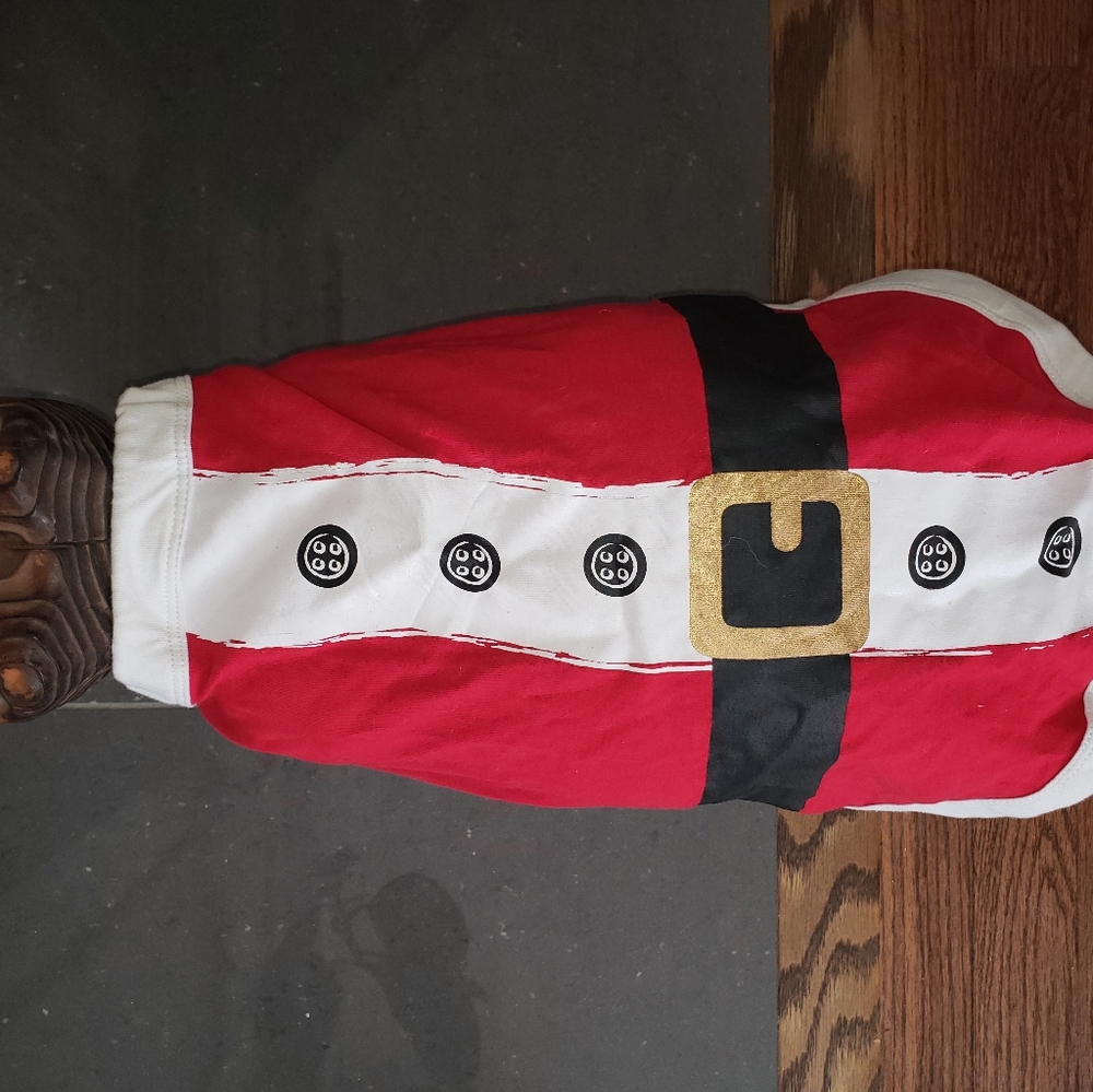 Doggie Santa outfit!